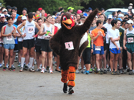 7 fun facts about turkey trots